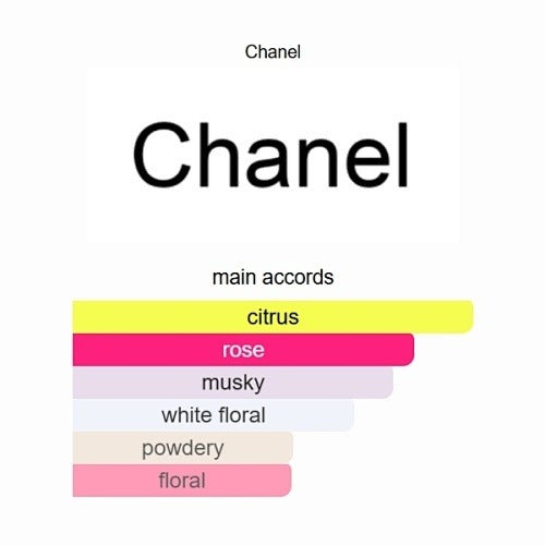 Chanel Coco Mademoiselle L'Eau Privée – Eau Pour La Nuit (100ml / 3.4 fl. oz.)