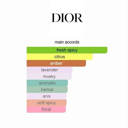 Dior Sauvage Eau de Toilette (100ml) – The Original Icon