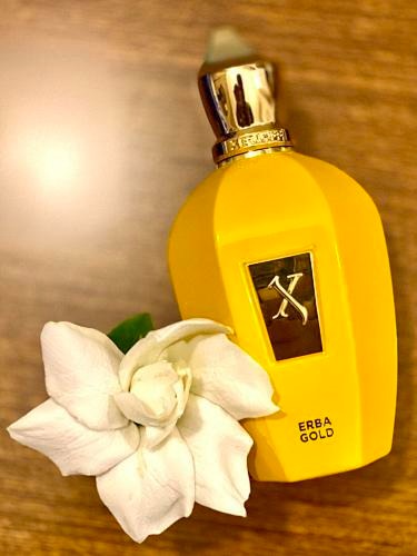 Xerjoff Erba Gold Eau de Parfum (V Collection) - 3.4 oz / 100ml
